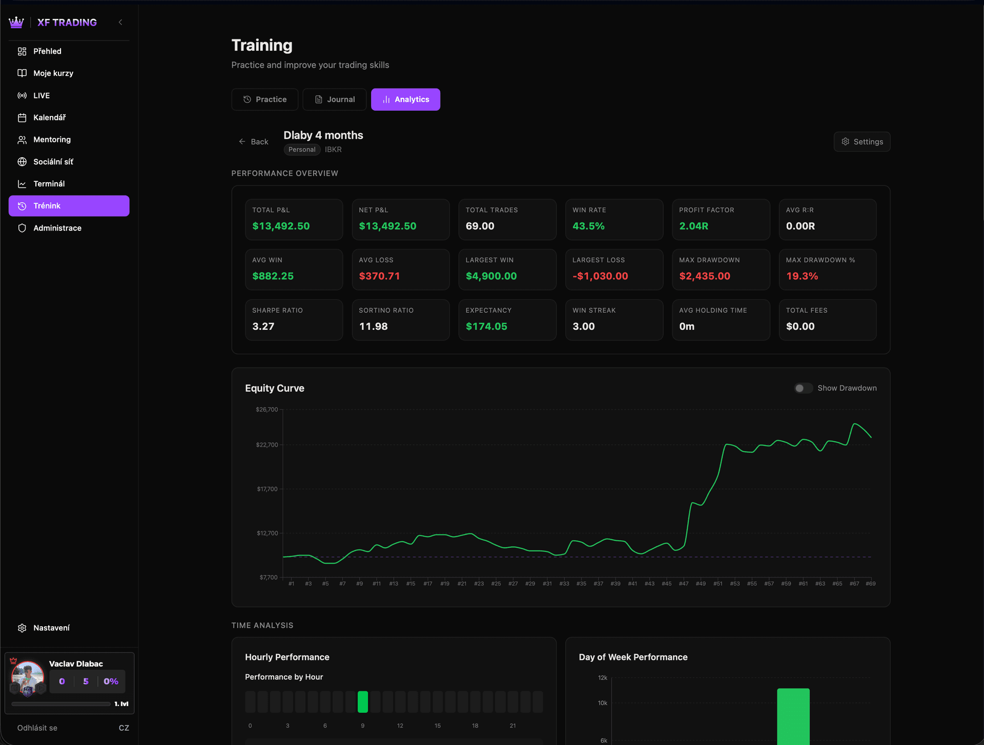 Analytika výkonnosti
