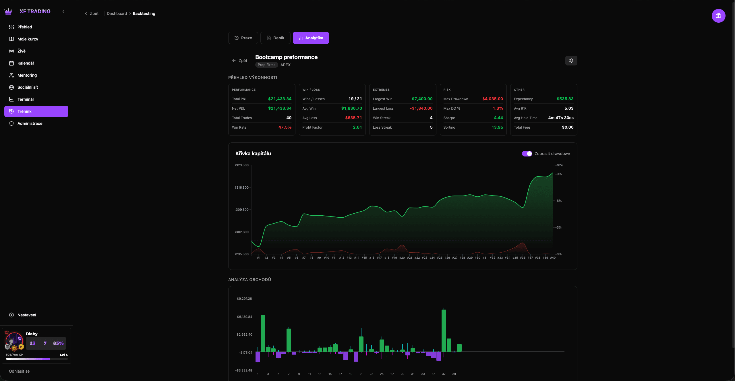 Analytika výkonnosti
